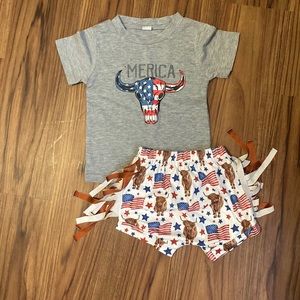 2T baby girls outfit